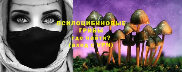дурь Вяземский