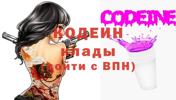 дурь Вяземский